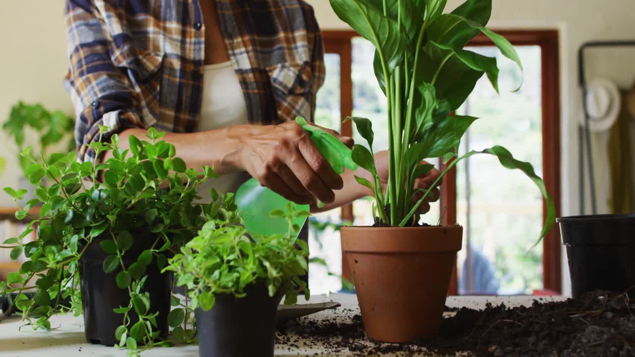 Premium stock video - Mid section of woman spraying water on plants at home