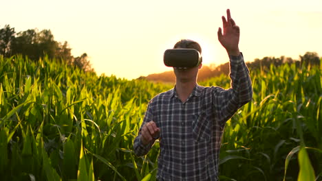 The-farmer-of-the-future-uses-of-VR-glasses-to-control-corn-plantations-and-quality-control-of-plants-and-soil-analysis-for-irrigation-and-fertilizer-plants-standing-in-a-field-at-sunset-lens-flare