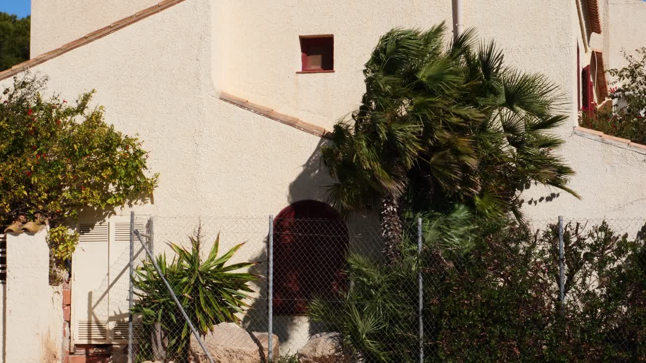 Palma e arbusto sferzati da un forte vento sulla facciata di una casa