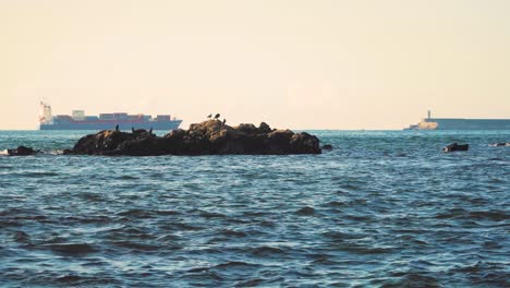 4K-big-cargo-ship-cruising-in-the-background-of-a-rock-with-some-birds-on-top-of-it