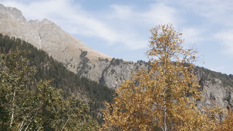 autumn foliage in mountain valley
