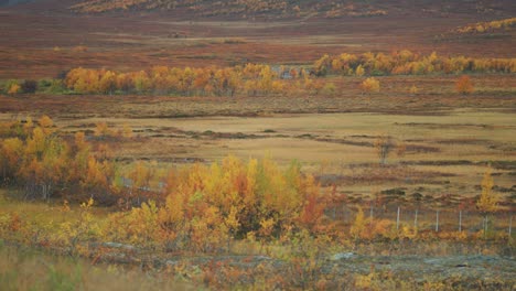 colorful autumn tundra landscape in norway