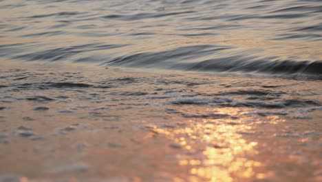 foamy waves rolling on shore at the sunset, narrow view