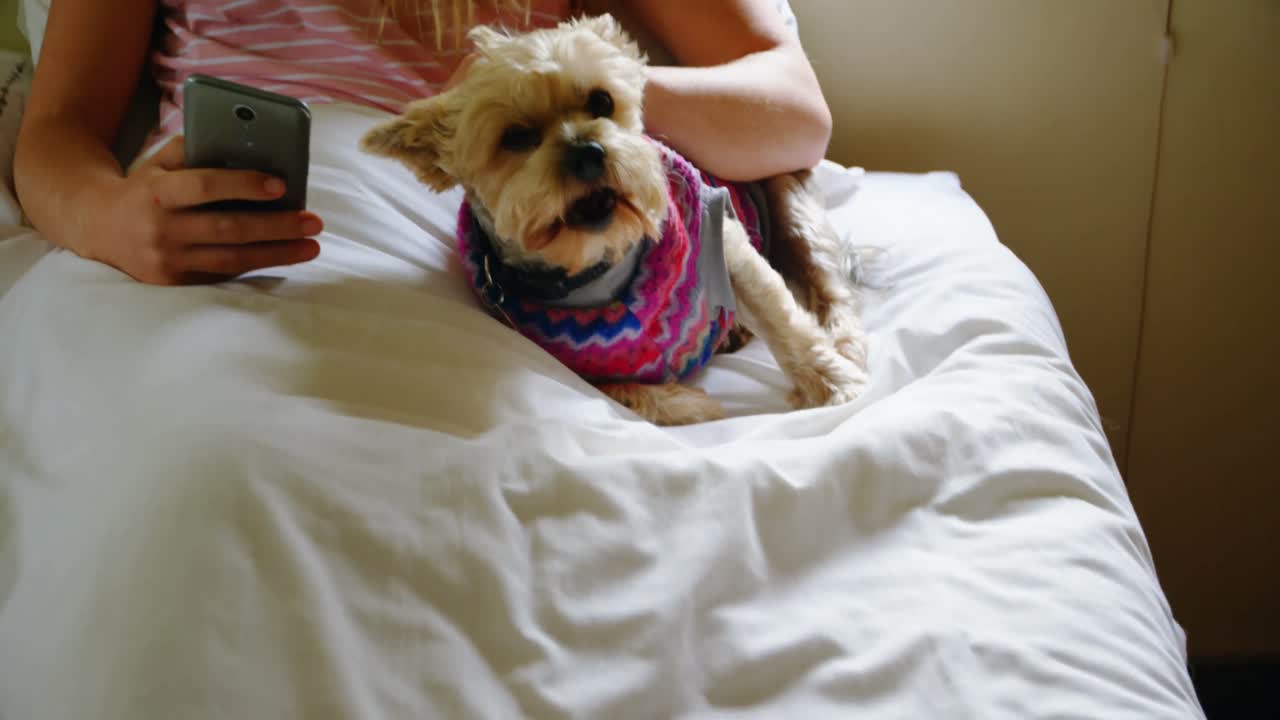 침대 4k에 그녀의 개와 함께 모바일을 사용하는 여성