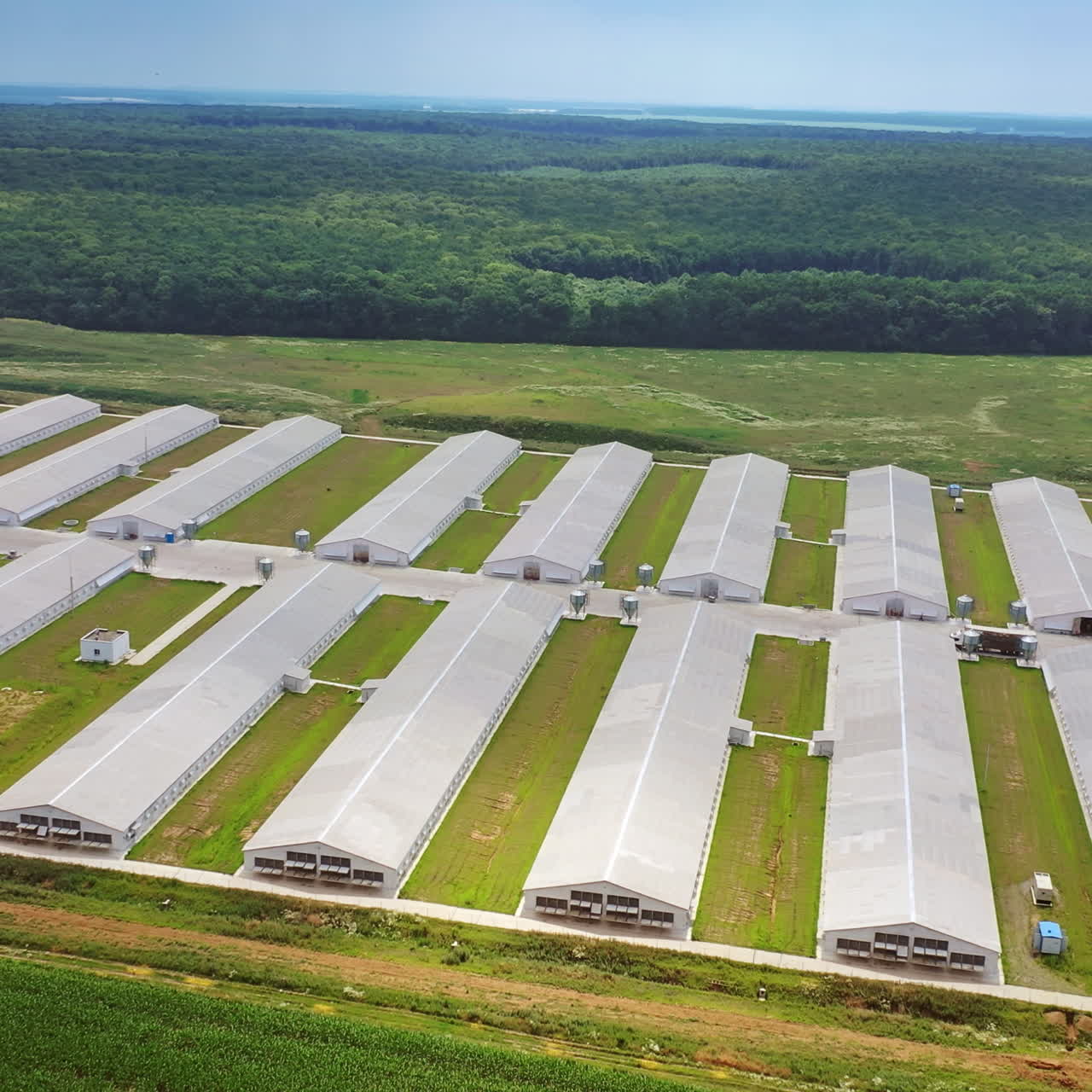 Flying near the modern farm for poultry in rural place. Aerial view to the new agricultural complex for farming in a sunny day.