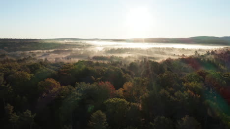 Altas-Imágenes-Aéreas-De-Drones-Con-Vistas-A-La-Línea-De-árboles-En-Mdi,-Maine,-Ee.uu.-En-Un-Día-De-Niebla