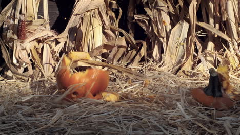 Medium-shot-as-a-jack-o-lantern-falls-in-slow-motion,-hits-the-ground-and-splits-into-pieces