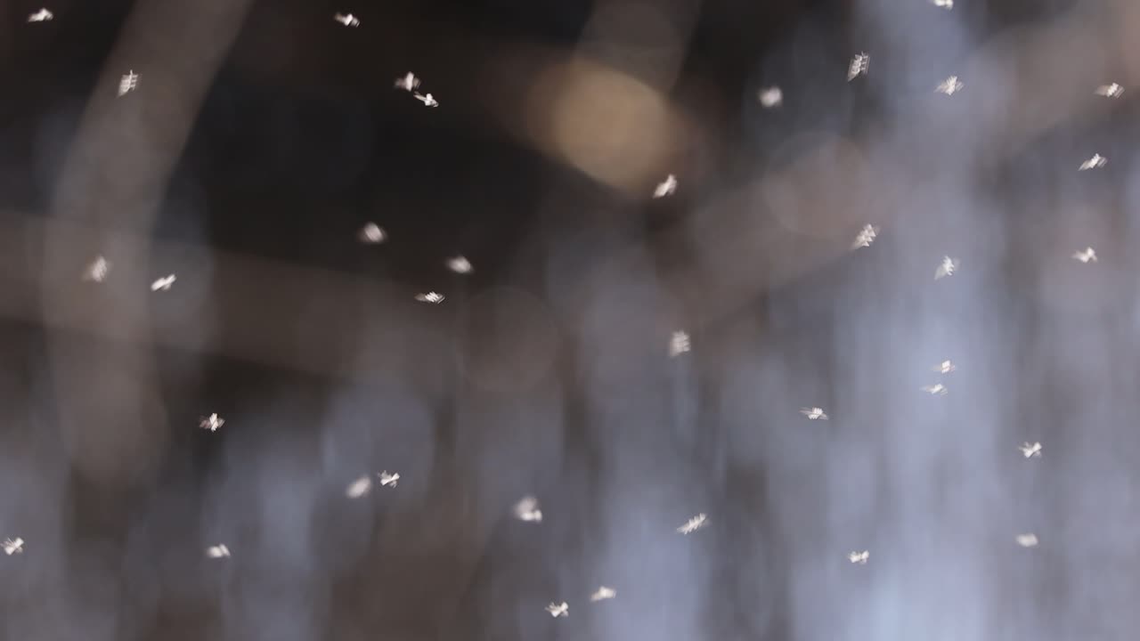 Soft-focus scene of small insects flying in the air with blurred background, creating a dreamy atmosphere with light and motion effects