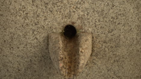 close up of a water fountain