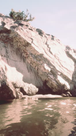 a rocky shoreline with a small tree on a cliff