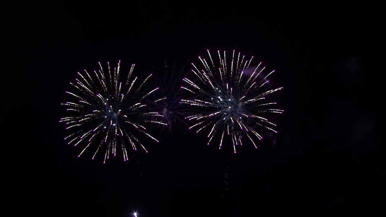 Colorful fireworks display night background