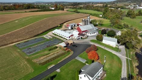 agriculture and farming theme