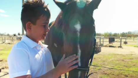 niño acariciando el caballo en el rancho en un día soleado 4k
