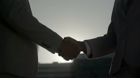 closeup shot of people shaking hands on street