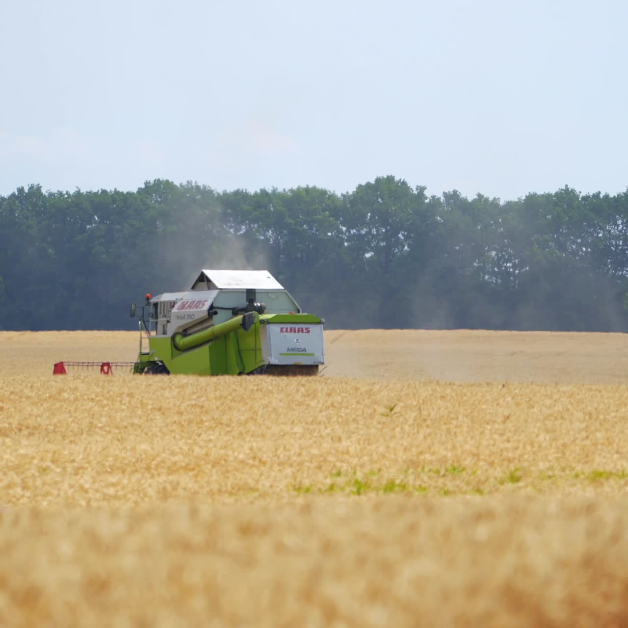 Working harvesting combine in field