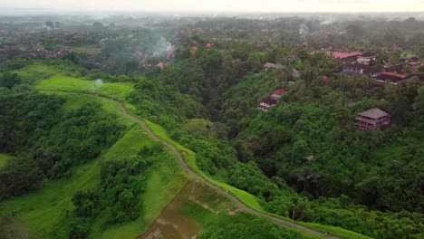 fligght over campuhan ridge walk ubud bali