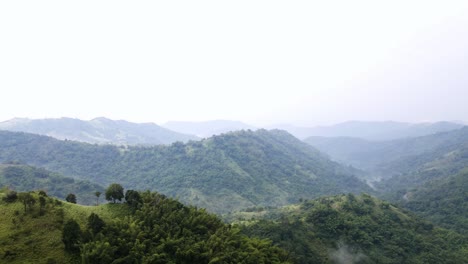 aerial view of forest at the clear sky and beautiful summer landscape.