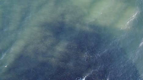 overhead shot of clear blue sea with waves splashing in tropical north queensland in australia