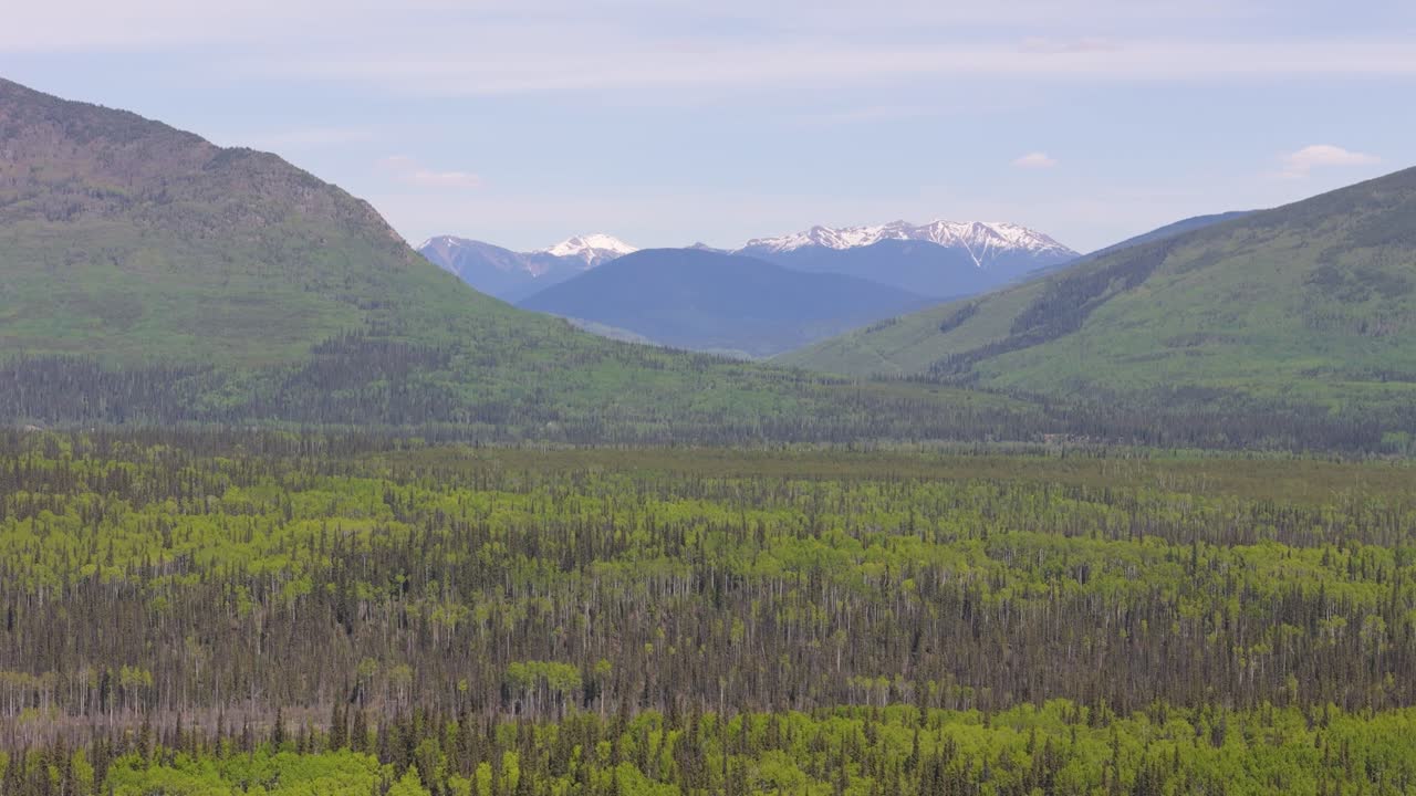 Droneoptagelser af skovrydning i den canadiske skov. Flod, der løber langs bjergene i en landsby med oprindelige stammer.