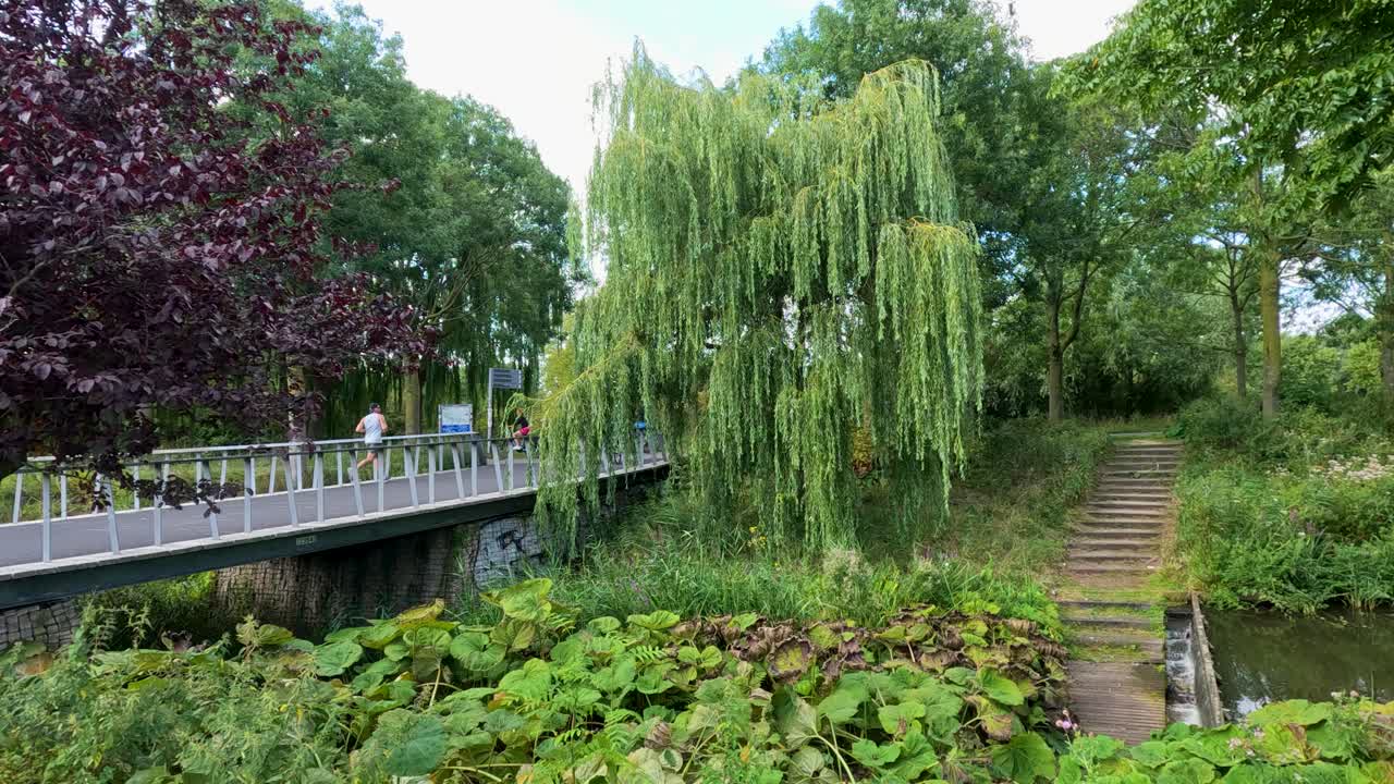 Cyclists cross a wooden bridge in a lush green park with willow trees on a summer day
