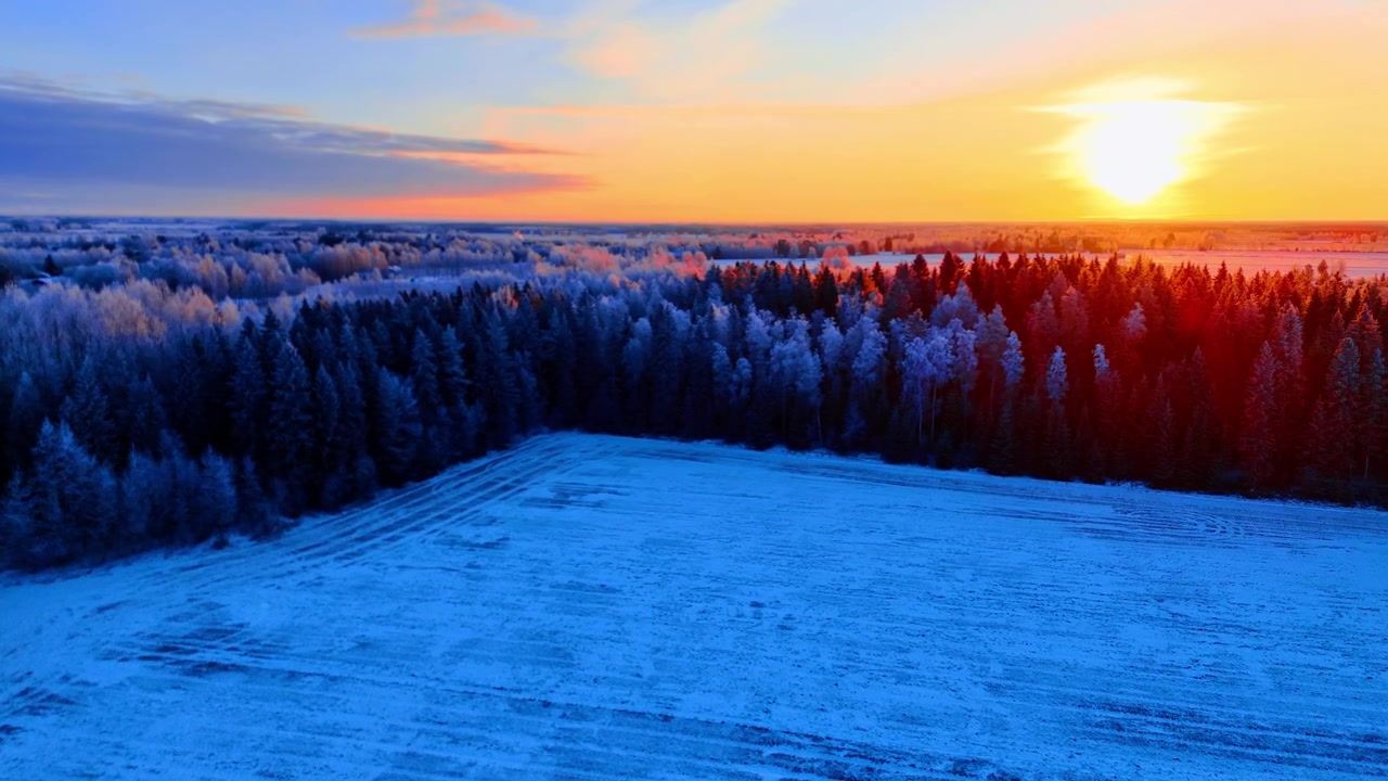 Solnedgang over frostdekket skogkant og snøfelt, Lappland, Finland. Rimfrosttunge bartrær langs et åpent felt, varm rød og oransje sol i horisonten, blå og lilla himmel.