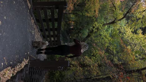 Maltipoo-Dog-Follows-Her-Female-Owner-Walking-At-Wooden-Bridge-In-The-Mountain-During-Autumn