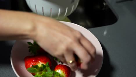 woman places fresh strawberries on plate after washing them in kitchen