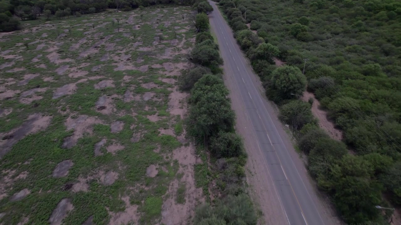 Vista aerea con drone 4K della strada panoramica per Cafayate, Salta, Argentina. Paesaggio verde lussureggiante con alberi che circondano il percorso attraverso le splendide Valli Calchaquí.