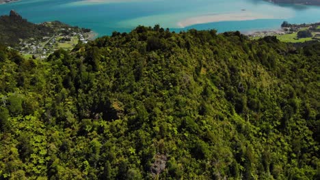 establish aerial shot of bay to whangarei harbour