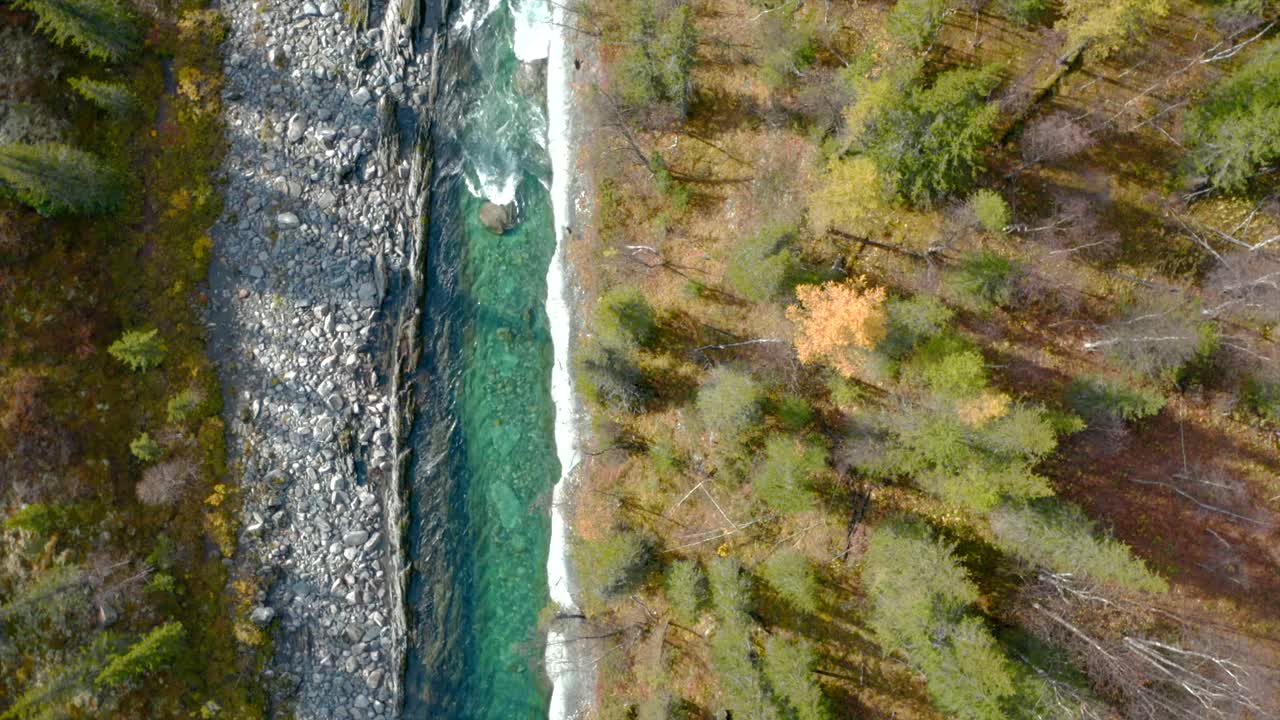 vista aérea de un arroyo de montaña en el bosque de otoño