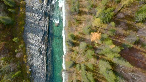 aerial view of a mountain stream in autumn forest