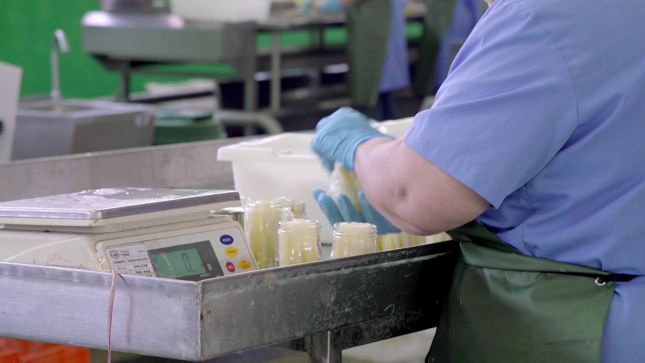 close-up of a worker in a blue uniform and gloves packing jars of white asparagus, highlighting the precise packaging process in a food production facility.