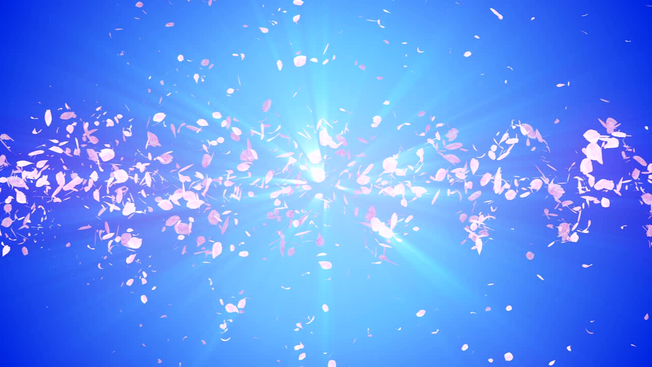 꽃의 나선형 반이는 입자, 사쿠라 패턴, 일본의 꽃 춤, 분홍색 꽃잎의 소용돌이, 추상적인 루프 애니메이션.