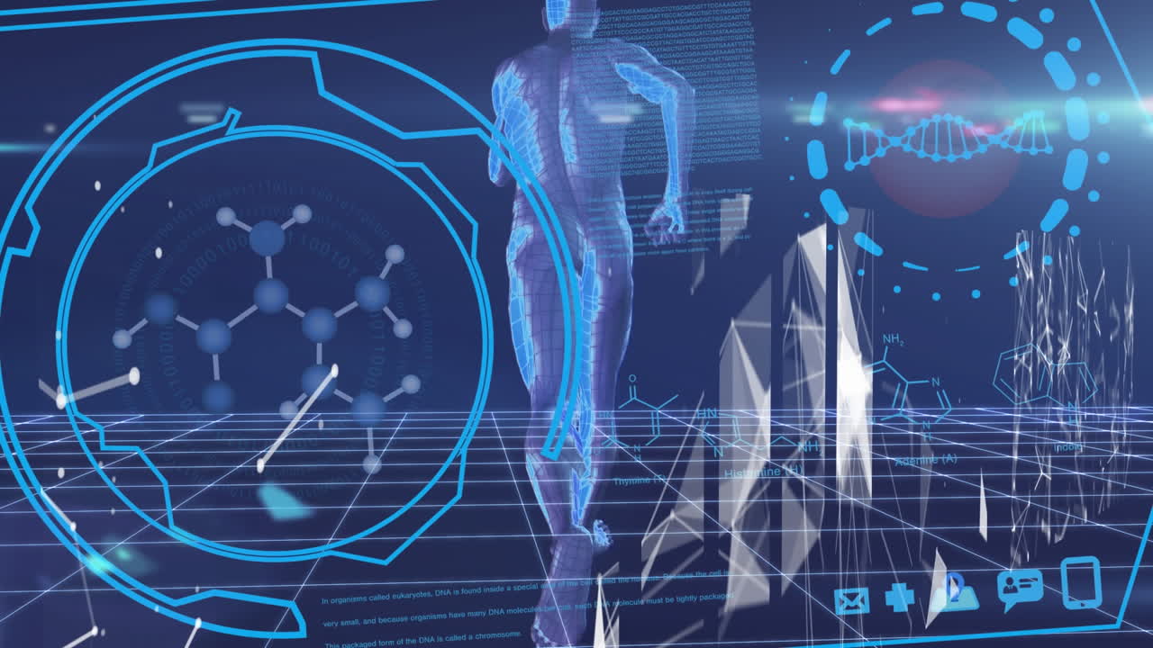 달리는 사람 위의 과학 데이터 처리와 디지털 인터페이스의 애니메이션