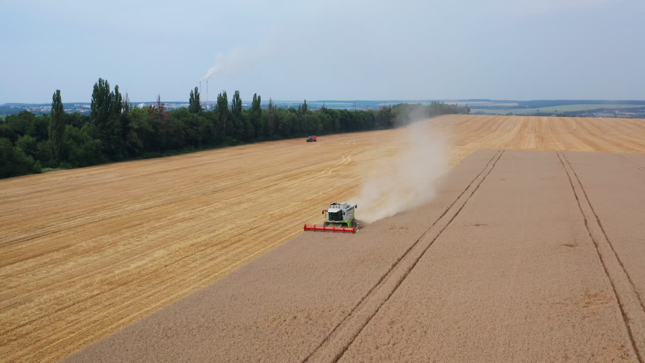 Beautiful yellow plantation with harvesters working on it. Most part of field is already cut. Green trees and farmlands at the backdrop.