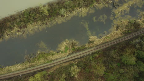 árboles-Al-Borde-Del-Río-Con-Troncos-Flotando-En-El-Agua