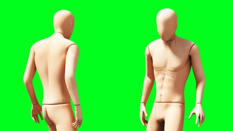 maniquí, animación de maniquí, físico, desenfocamiento de movimiento, animación realista en 4k, pantalla verde