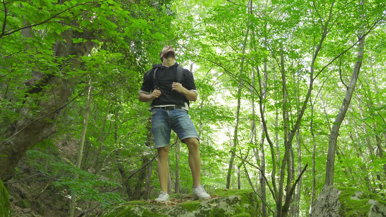 자유인은 정글 여행에 나섰습니다.