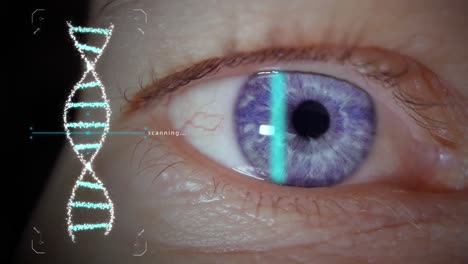 scanning blue eye iris for secure biometric authentication