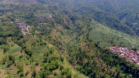 umbul valle sidomukti en ambarawa, indonesia. aéreo hacia adelante