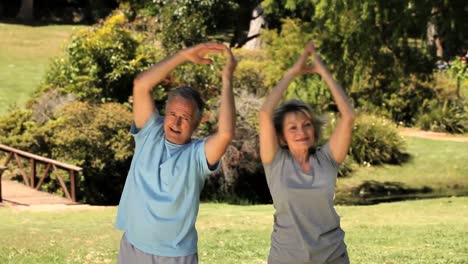 senior couple doing stretching exercices