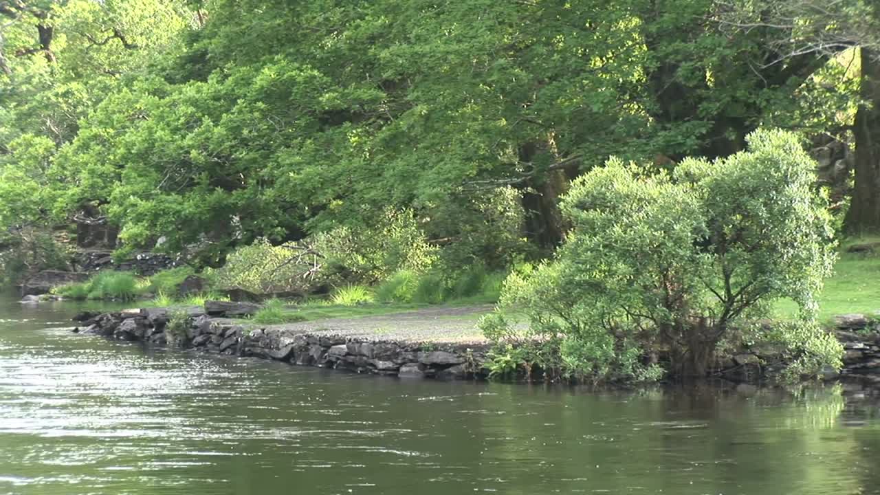 스 영상 킬라니 29