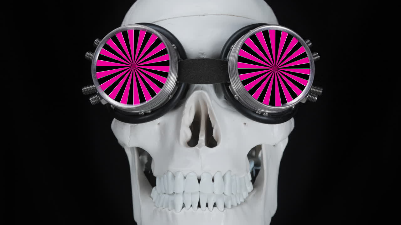 선글라스를 입은 인간의 두개골