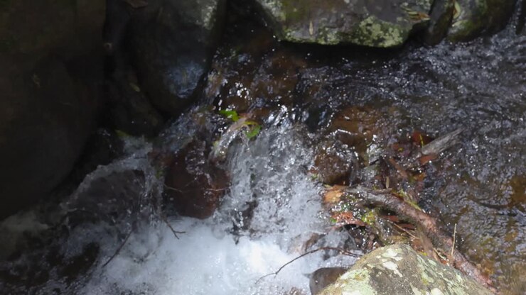 Water flowing over rocks in rainforest creek