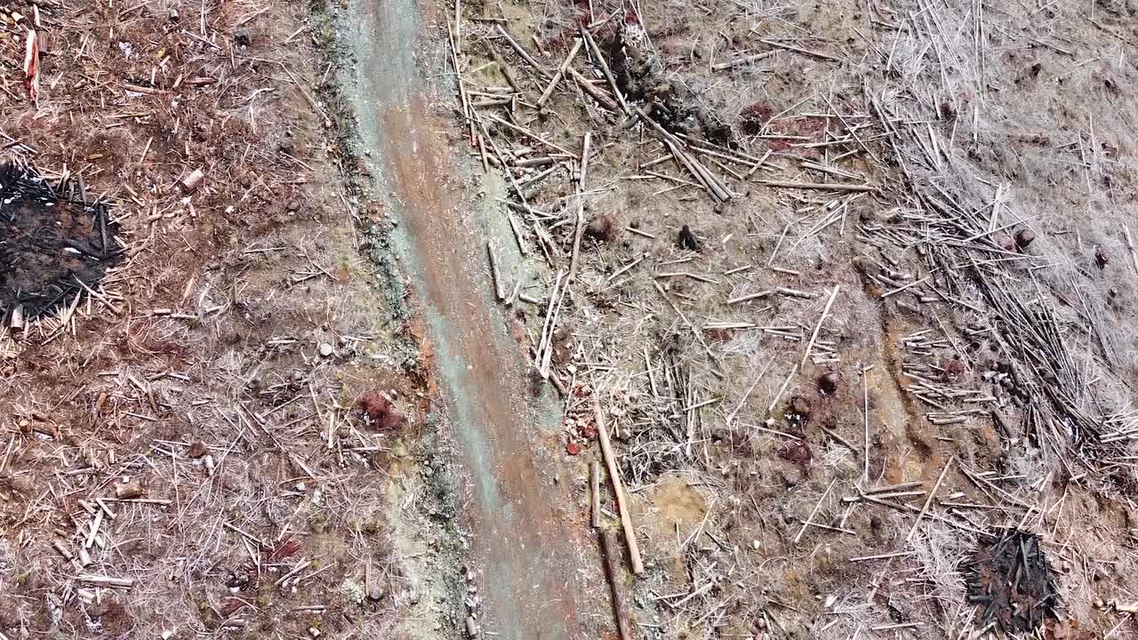 캐나다 밴쿠버 섬 포트 알버니의 벌목된 숲의 공중 개간