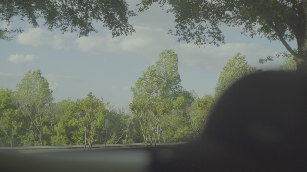 무작위 자동차가 지나가는 나무들