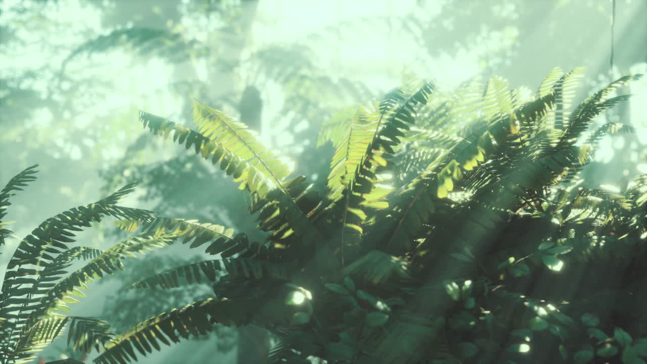 밝은 초록색 모스로  ⁇ 인 열대우림 안의 사진