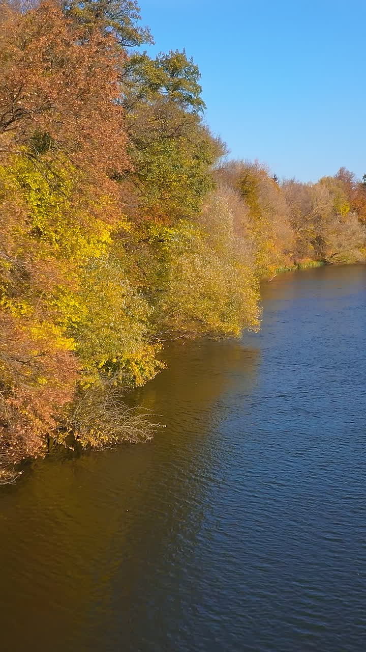 Beautiful autumn river drone view. Orange colors landscapes aerial view