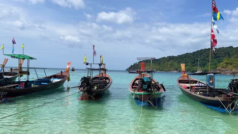 long tail boats at phi phi don harbor - nearest place for daily trip to maya bay and other islands