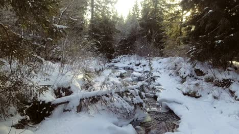 aerial: flight over the river in winter